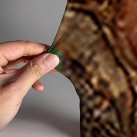 NIVIUS PHOTO Dinosaur Arched Backdrop 2.5x6ft Arch Wall Covers Stretchy Photography Background for Birthday Party Decoration