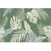 Meiwa Gravure OLM-9018 Sunshade Master Awning Banana Leaf (Green) 35.4