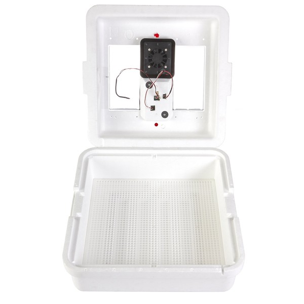 Little Giant® Digital Circulated Air Incubator | 41 Eggs |