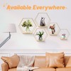 LMYDIDO Set of 5 Hexagon Wall Shelves, Hanging Shelves, Metal