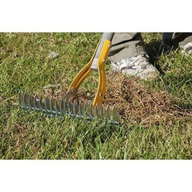 The AMES Companies 2914000 True Temper Thatch Rake -, 15" Brown