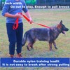 Siumouhoi Strong Durable Nylon Dog Training Leash, 1 Inch Wide