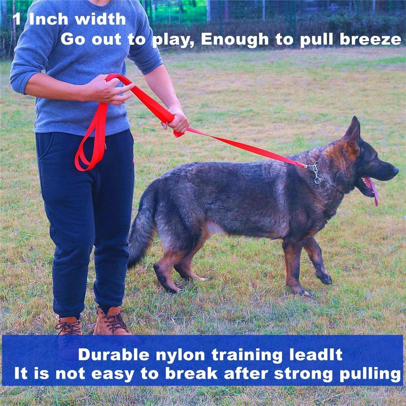 Siumouhoi Strong Durable Nylon Dog Training Leash, 1 Inch Wide