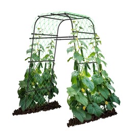 AlisisFores Garden Arch Plant Trellis for Climbing Plants Outdoor, Grape Trellis Metal, Cucumber Trellis for Raised Bed, Arbor Trellis Plant Support Flower Vegetables,Tomato Black,6.7FT Rust-Proof