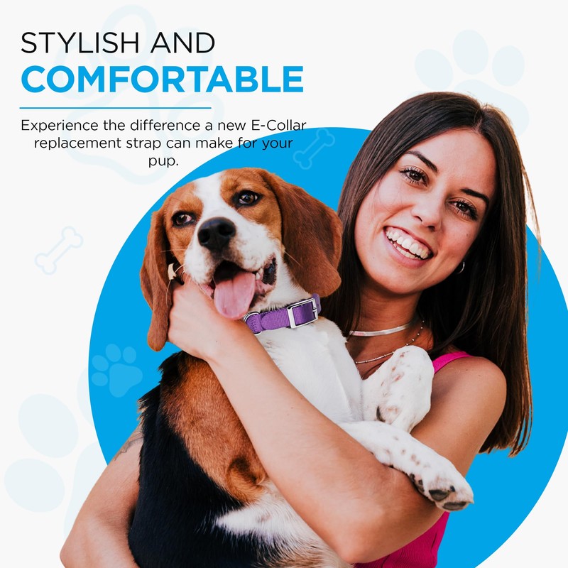 e Collar Replacement Strap - Dog Shock Collar Replacement Strap,