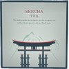 Premium Japanese Natural Pure Sencha Tea - 15 Pyramid Bags,
