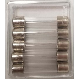 5 PACK 2AMP FUSE