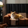 YouLanHome Washable Couch Cover for 3-Cushion Sofas, Pet & Kid