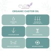 Aceite de Ricino Eva Naturals 100 Orgánico Puro 60ml Cuidado