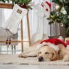 Della Stella Knitted Christmas Stocking for Dogs, Cats & Pets