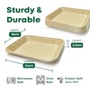 DISPOSABLE GREEN® | 24 cm x 18 cm Rectangle Tray