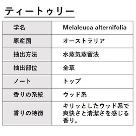 ASH Tea Tree Essential Oil 30ml Aroma Oil AEAJ Certified Essential Oil