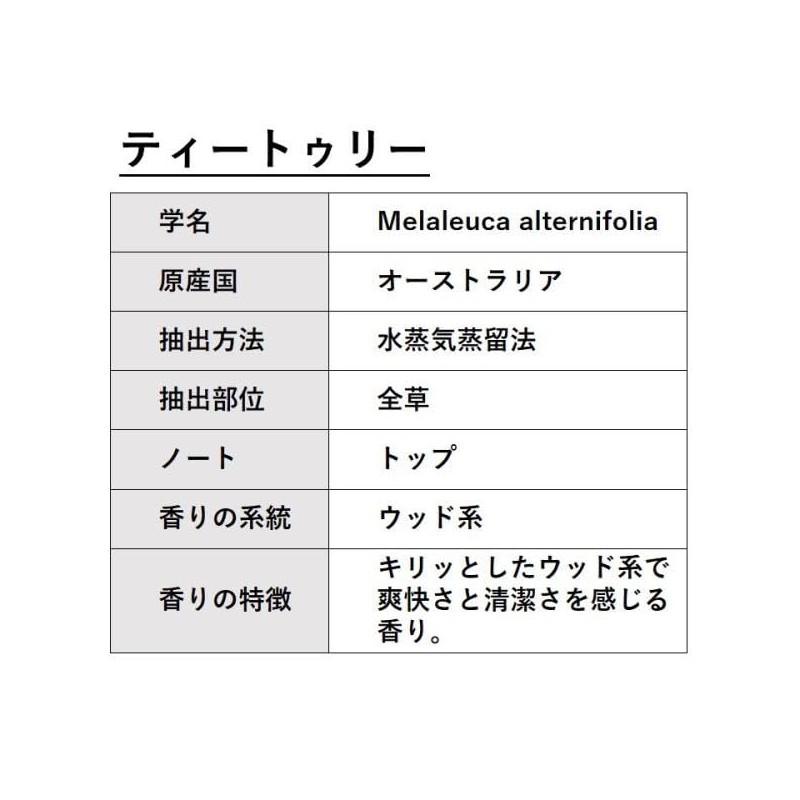 ASH Tea Tree Essential Oil 30ml Aroma Oil AEAJ Certified