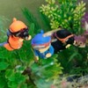 Whimsical Aquarium Diver Figurine for Fish Tank Decoration Model 5ea