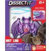 Dissect It Bat Science Kit Safe Realistic Dissection for Kids