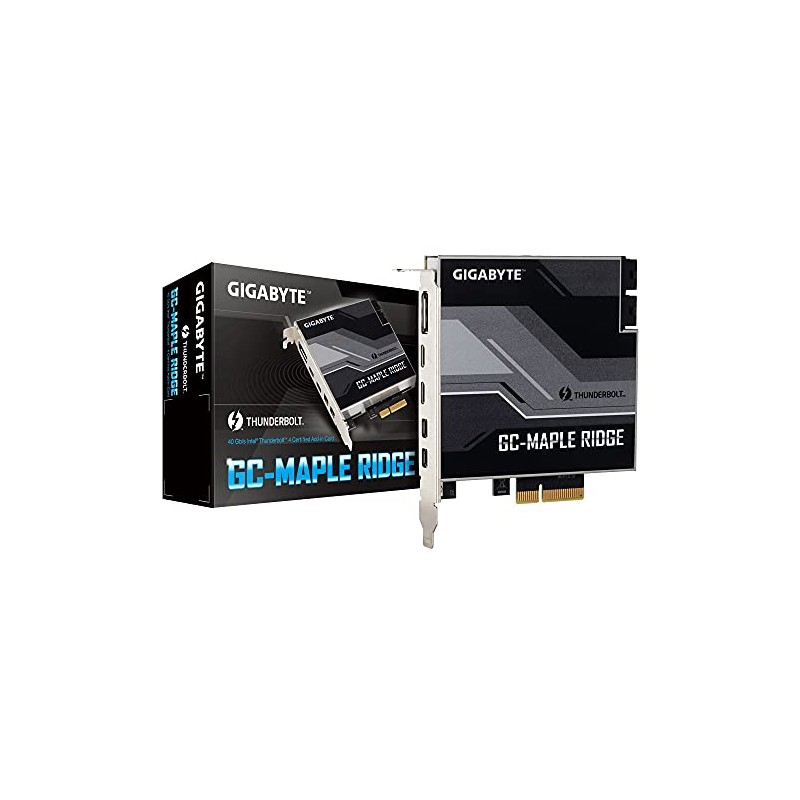 Gigabyte GC-MAPLE RIDGE 1.0