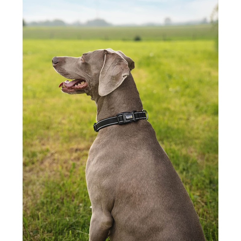 lionto Padded Dog Collar Nylon Reflective Waterproof Adjustable Size L