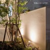 Takasho Garden Light Hikarenovation Extension Cord with Branch Connector, Approx.