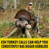 Slate Turkey Pot Call with Hickory Striker and Conditioning Pad