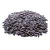 Jumbo Salted and Roasted Sunflower Seeds in Shell, 5.25 oz