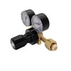 Pressure Regulator for Argon CO2 Mixed Gas 200 Bar 24