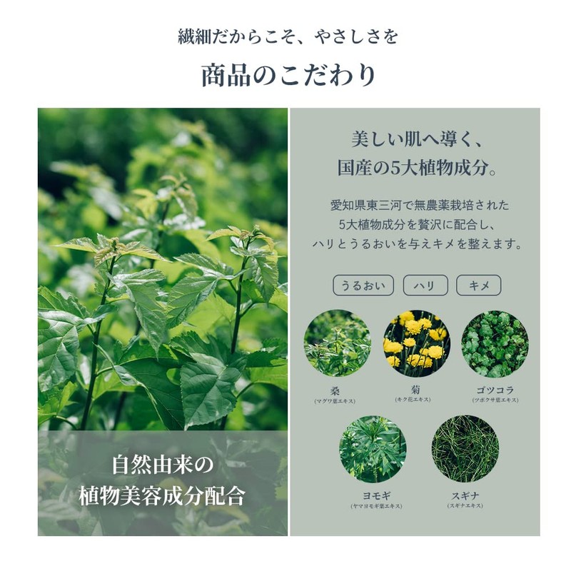 Waphyto Delicate Zone Soap, Intimate Wash, 4.2 fl oz (120