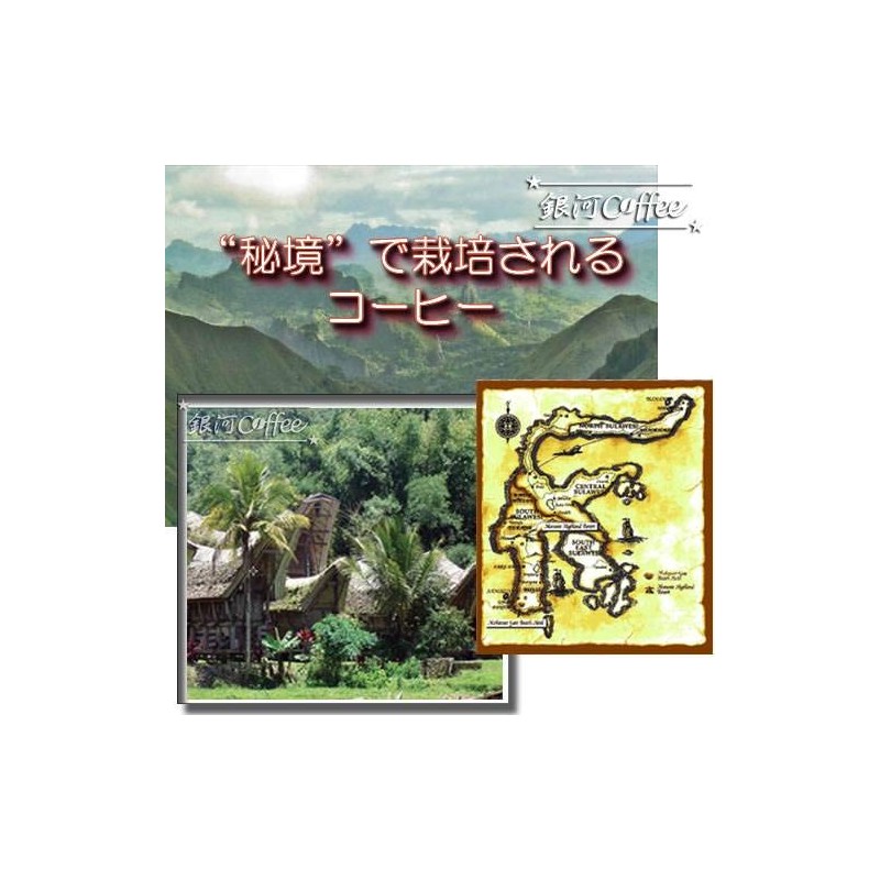 Coffee Raw Beans Toraja Celebes Indonesia Galaxy Coffee (8.8 oz