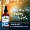 Nature's Answer Liquid Vitamin B-12 | Promotes Healthy Nerve Function