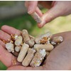 North Spore Log Inoculation Bundle with 100 ct Shiitake Plugs,
