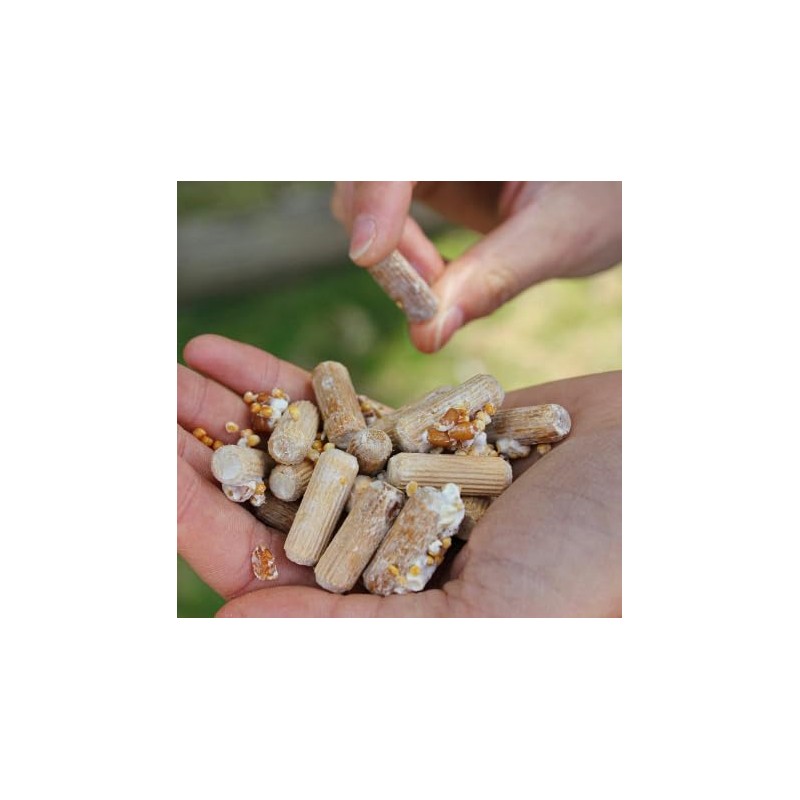 North Spore Log Inoculation Bundle with 100 ct Shiitake Plugs,