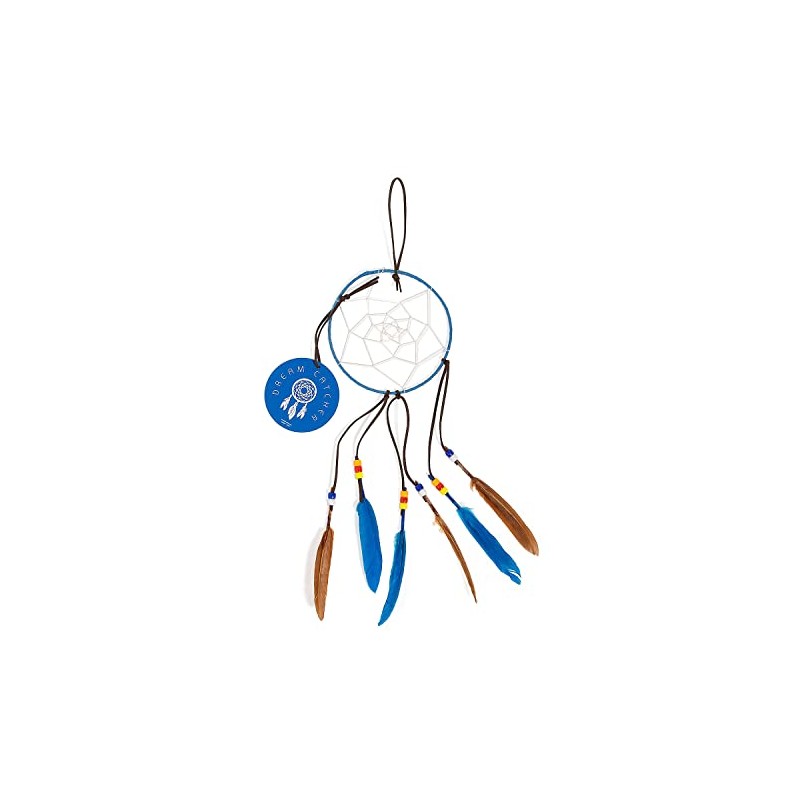 Dream Catcher with Educational Card Craft Kit, Makes 12