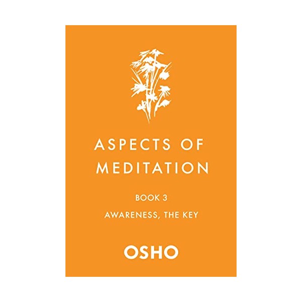 Aspects of Meditation Book 3: Awareness, the Key (Aspects of