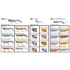 Major Craft Worm Hamaou Flounder Set HMO SET-28#1 IWASHI 28
