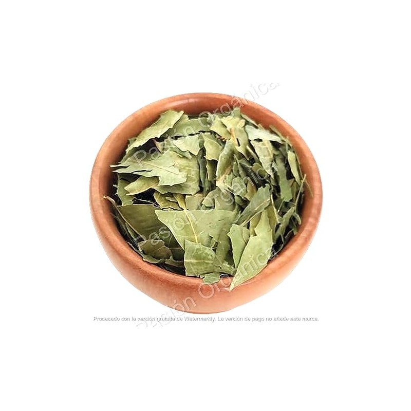Pasión Orgánica - Té Infusión HOJA DE NEEM ORGÁNICA deshidratada