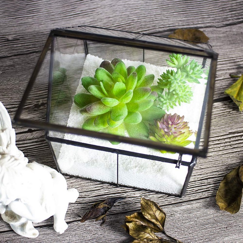 Ferrisland Glass Plant Terrarium Container Wardian Case Indoor Small Succulent