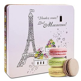 Macarons in Gift Tin Paris 16 Macaroons Various Flavours (1 x 150 g)