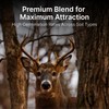 HIT LIST SEED® Elite 8 Fall Food Plot Seeds for
