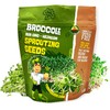 Todd’s Seeds - Calabrese Broccoli Sprouting Seeds, 1 lb -