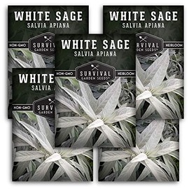 Survival Garden Seeds - White Sage Seed for Planting - Grow Sustainable Smudging Incense - Pack with Instructions to Plant & Grow in Your Home Garden - Non-GMO Heirloom Variety - 5 Packet