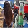 3 Shampoo Chile Romero Anti Caída Crecimiento Regalo