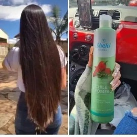 3 Shampoo Chile  Romero Anti Caída  Crecimiento  Regalo                                                                                               