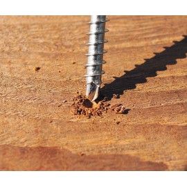 BioMaderas Terrace Screws Stainless Steel TX25-5 x 40-80 mm Suitable for Hardwood/Tropical Wood (AISI 410) (5.0 x 50 mm, 200)