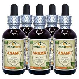 Anamu (Petiveria Alliacea) Tincture, Dried Herb Liquid Extract (Brand Name: HerbalTerra, Proudly Made in USA) 5x2 fl.oz (5x60 ml)