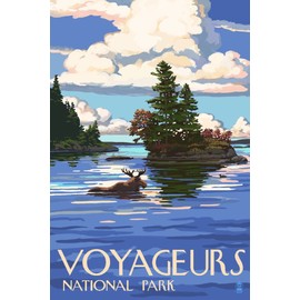Voyageurs National Park, Minnesota - Moose Swimming (16x24 Giclee Gallery Print, Wall Decor Travel Poster)