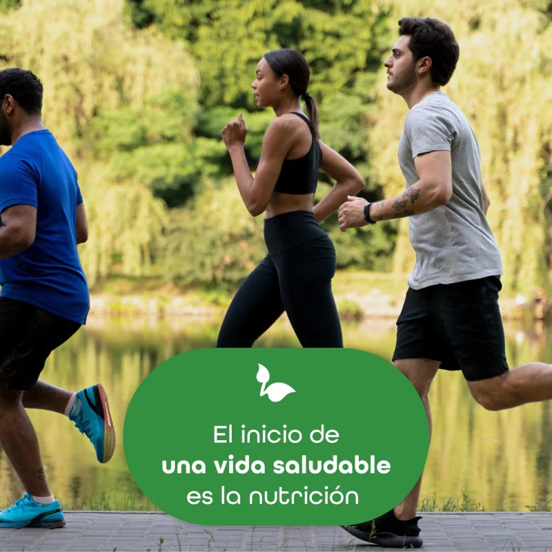 Suplemento Moringa Orgnico 180 Cpsulas De 500 Mg Bulk Superfoods