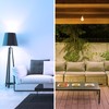 Feit Electric LED Color Selectable Timer Intellibulb - A19 with