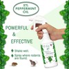 Minty Rodent Repellent, Natural 5% Peppermint Oil Spray for Mice,