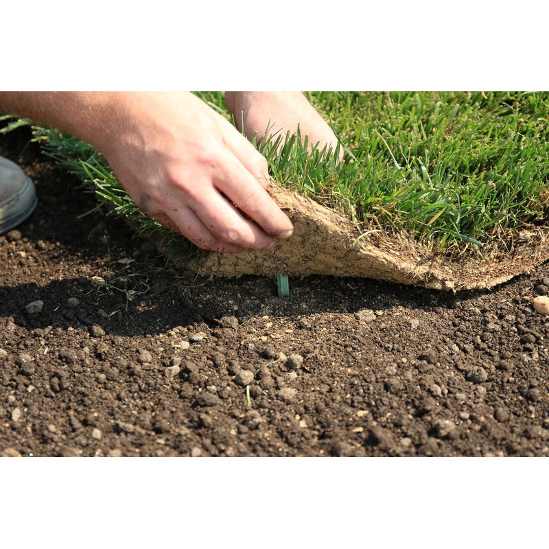 GreenStake Box of 500 Biodegradable Stakes 4"