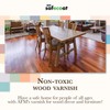 AFM Safecoat Acrylacq Gloss, Clear Coat Polyurethane Sealer, Wood Sealer