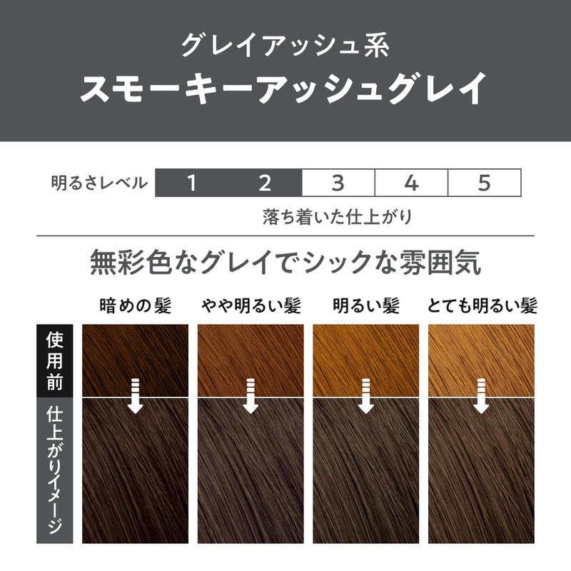 Liese Kao Bubble Hair Colour - Smoky Ash Grey